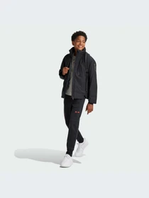 Куртки и дубленки Adidas MyShelter модель IV9650-KZ Фото