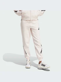 Брюки Adidas ZNE модель JF4788-KZ Фото