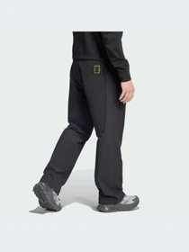 Брюки Adidas модель IX7923-KZ Фото