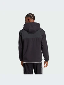 Худи и свитшоты Adidas Adicolor модель IZ4802-KZ Фото