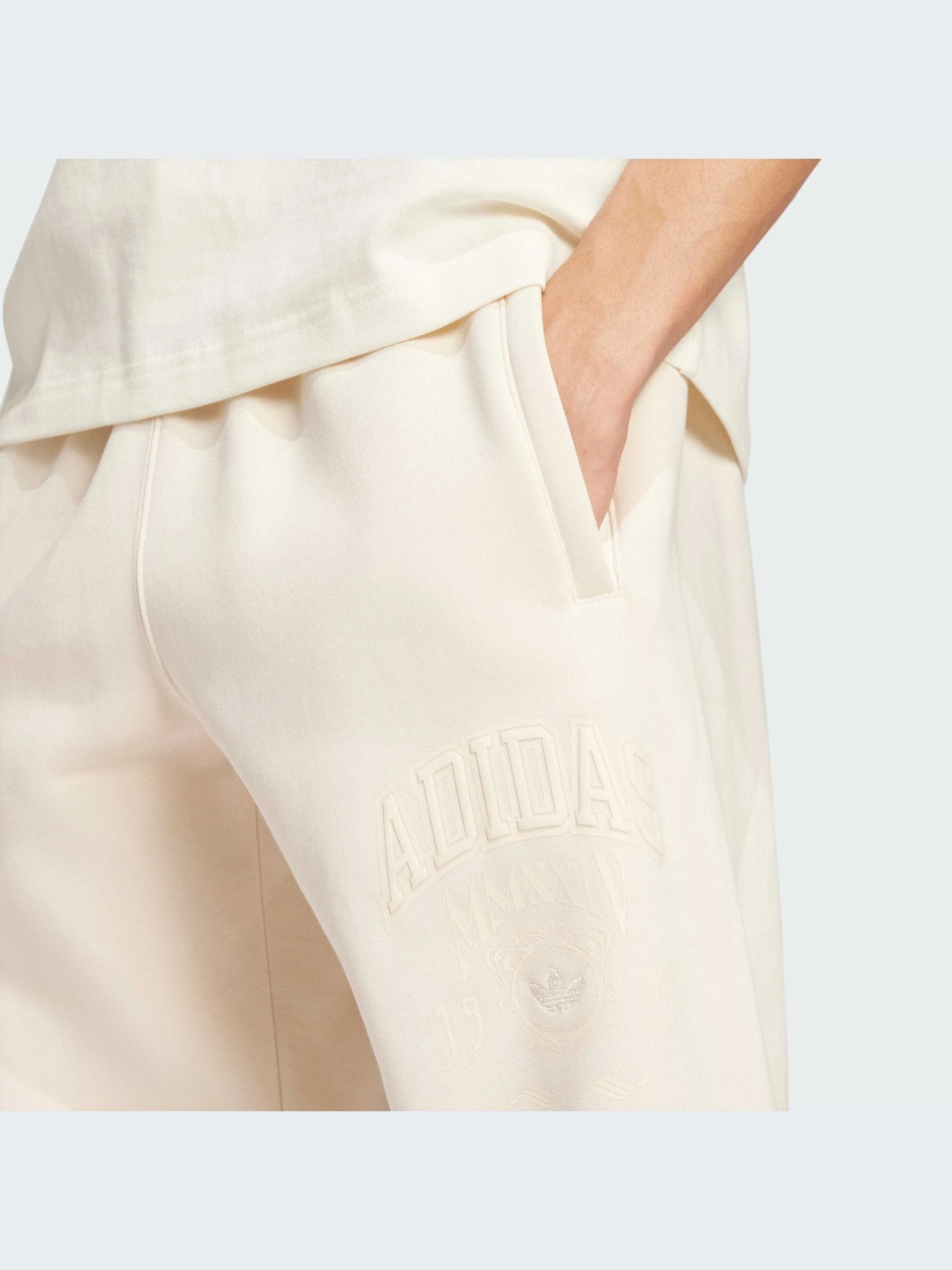 Брюки Adidas Graphics модель IZ2574-KZ Брюки Adidas Graphics модель IZ2574-KZ Фото