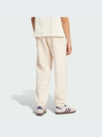 Брюки Adidas Graphics модель IZ2574-KZ Фото