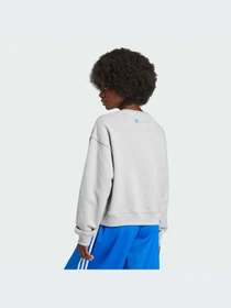 Худи и свитшоты Adidas модель IW5666-KZ Фото