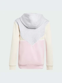Худи и свитшоты Adidas Adicolor модель IJ5379-KZ Фото