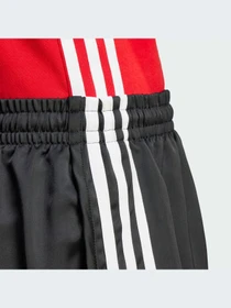 Шорты Adidas Adicolor модель IU2528-KZ Фото