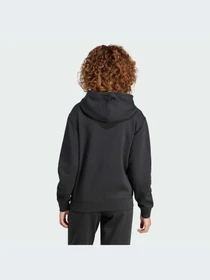 Худи и свитшоты Adidas модель IW0220-KZ Фото