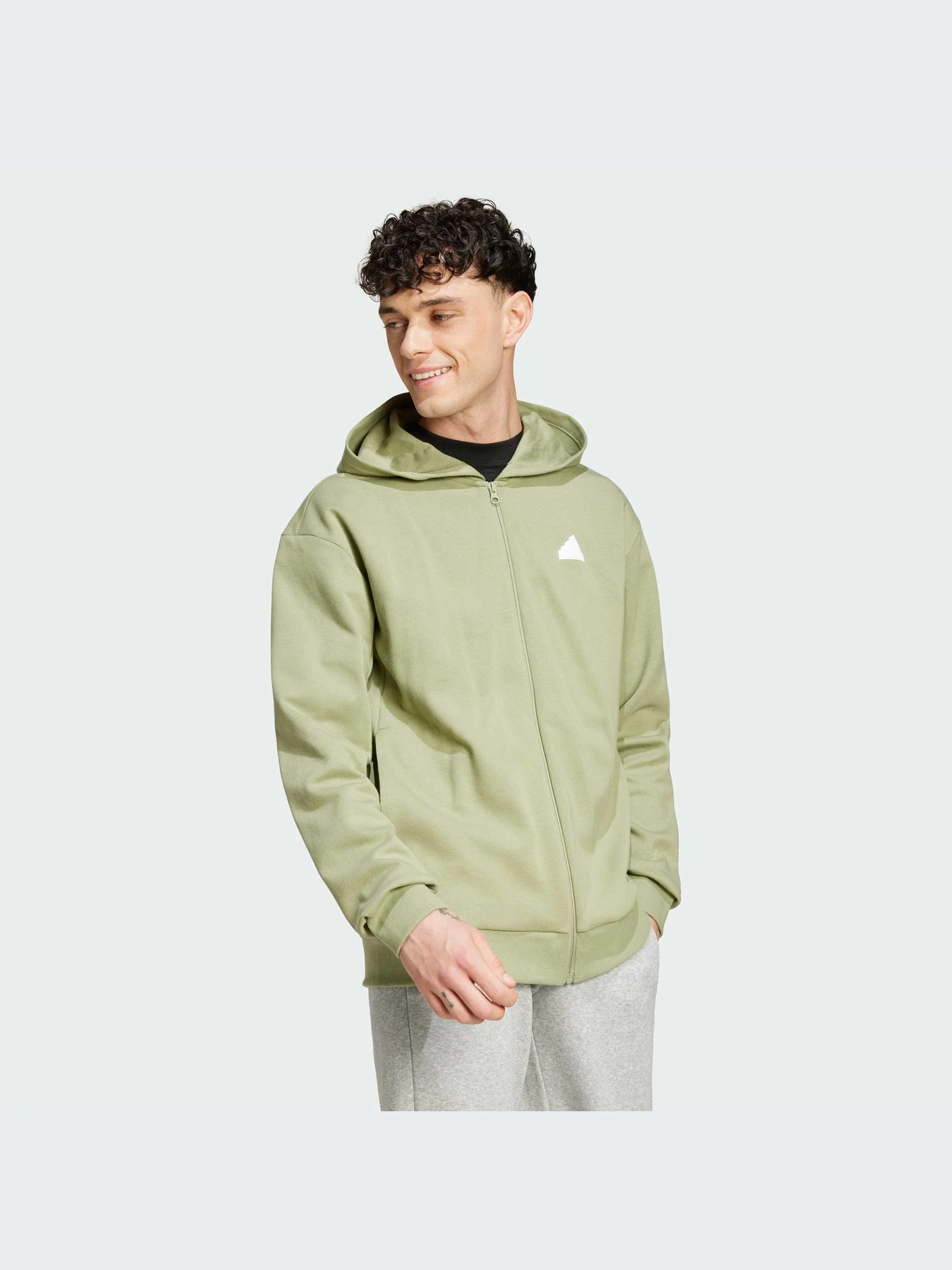 Худи и свитшоты Adidas Icons модель IW8555-KZ Худи и свитшоты Adidas Icons модель IW8555-KZ Фото