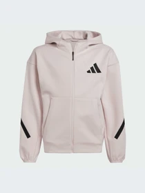 Худи и свитшоты Adidas ZNE модель JF2509-KZ Фото
