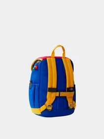 Рюкзаки The North Face модель NF0A52VWATM1 Фото