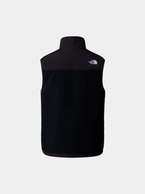 Худи и свитшоты The North Face модель NF0A88XJJK31 Фото
