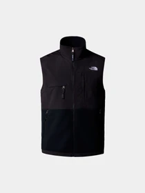 Худи и свитшоты The North Face модель NF0A88XJJK31 Фото