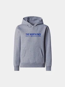 Худи и свитшоты The North Face модель NF0A89HBDYX1 Фото