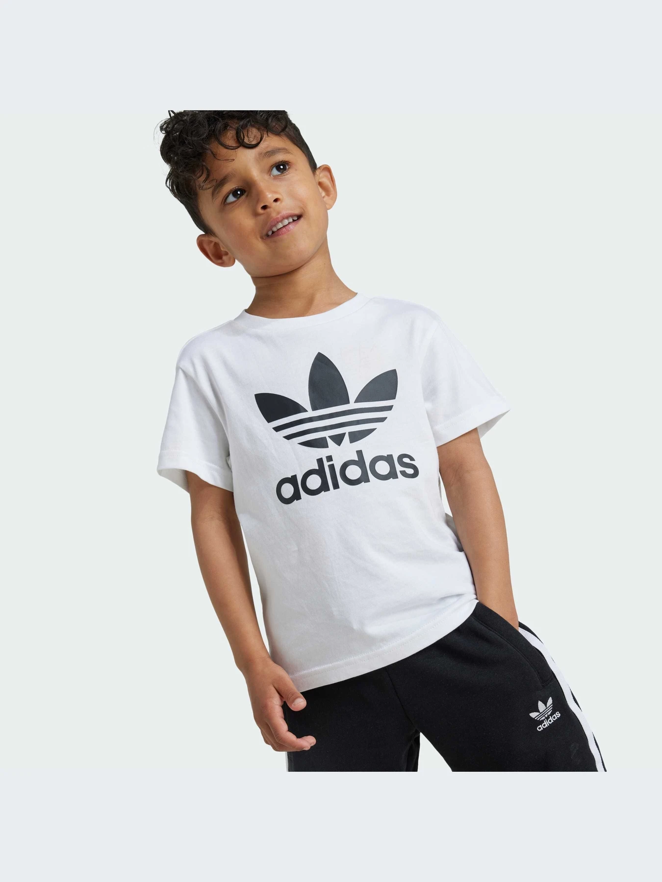 Костюмы Adidas Adicolor модель JE1613-KZ Костюмы Adidas Adicolor модель JE1613-KZ Фото
