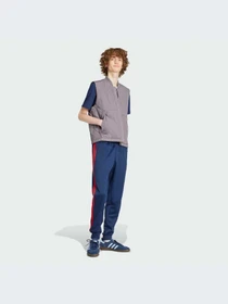 Брюки Adidas модель IY9870-KZ Фото