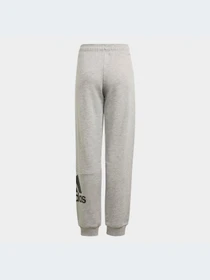Брюки Adidas модель GN4016-KZ Фото