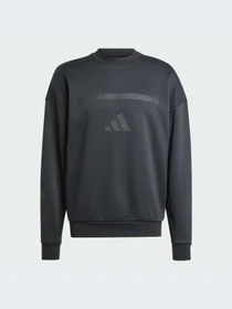 Худи и свитшоты Adidas ZNE модель JE7536-KZ Фото