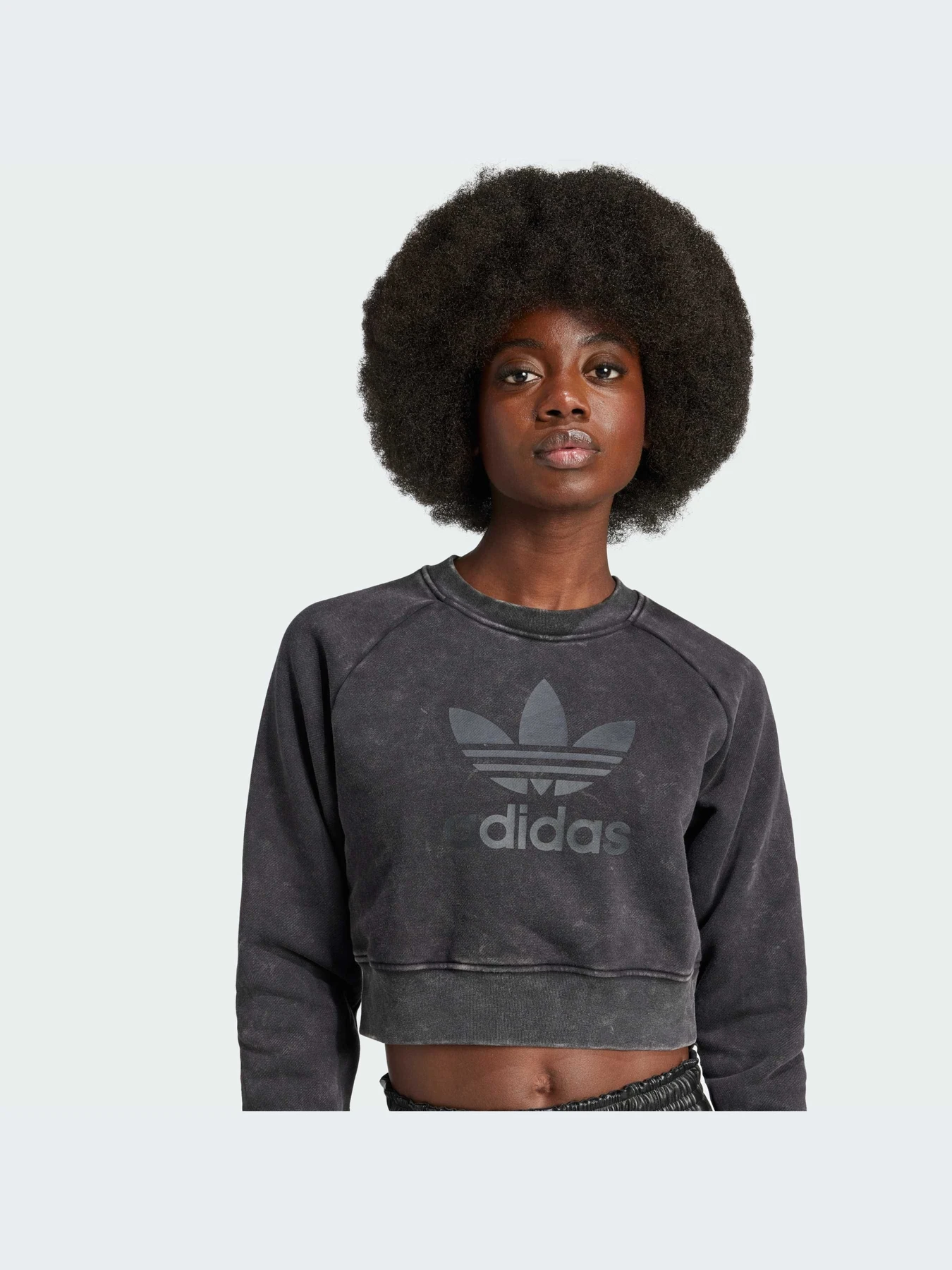 Худи и свитшоты Adidas модель IW5559-KZ Худи и свитшоты Adidas модель IW5559-KZ Фото