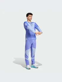 Брюки Adidas модель IV5415-KZ Фото