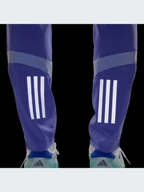 Брюки Adidas модель IV5415-KZ Фото