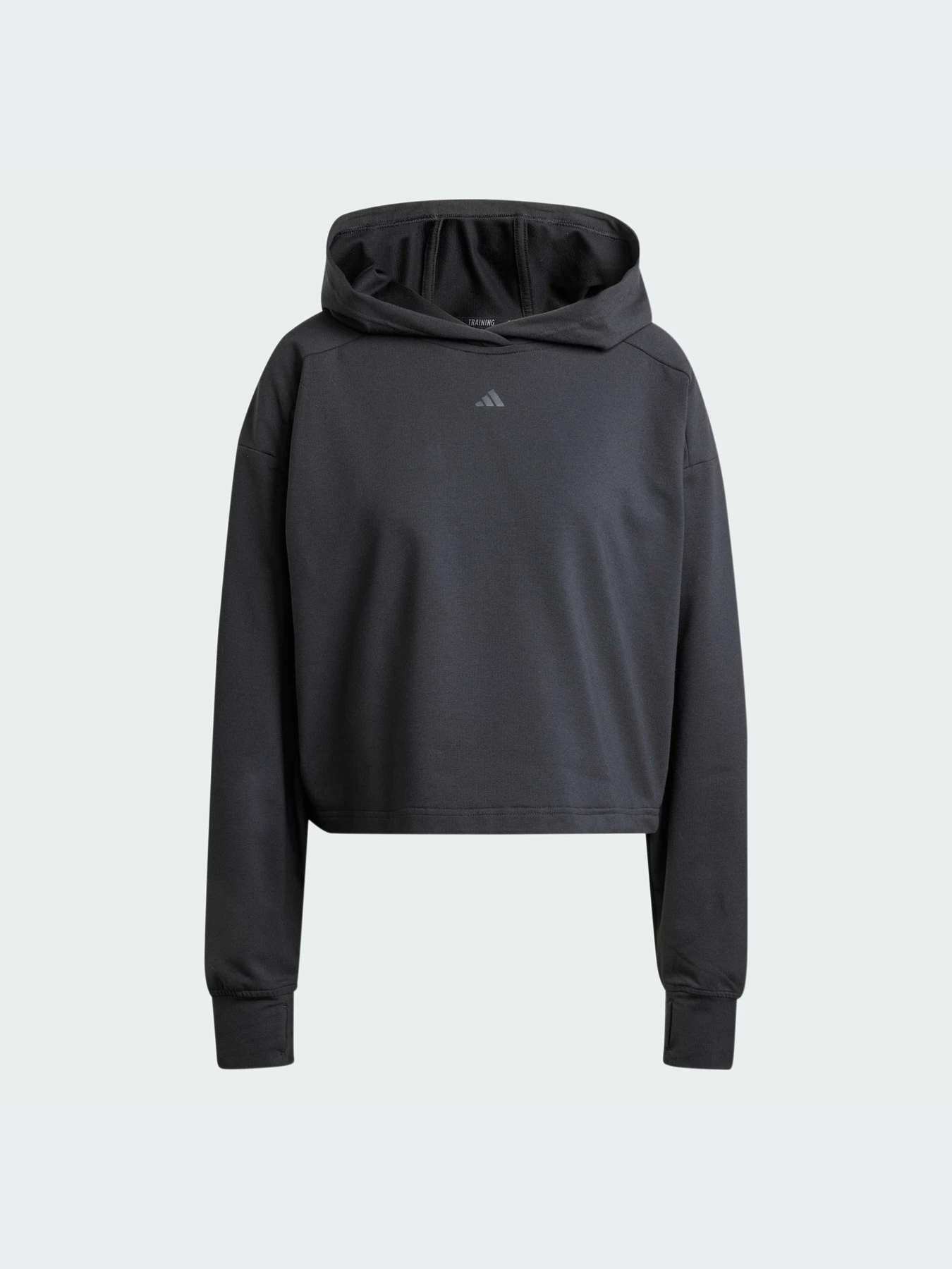 Худи и свитшоты Adidas модель IV9219-KZ Худи и свитшоты Adidas модель IV9219-KZ Фото