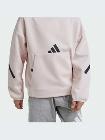 Худи и свитшоты Adidas ZNE модель JF2818-KZ Фото