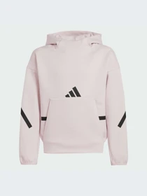 Худи и свитшоты Adidas ZNE модель JF2818-KZ Фото
