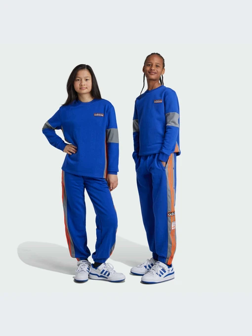 Брюки Adidas Adicolor модель IW6014-KZ Фото