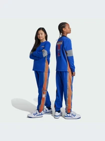 Брюки Adidas Adicolor модель IW6014-KZ Фото