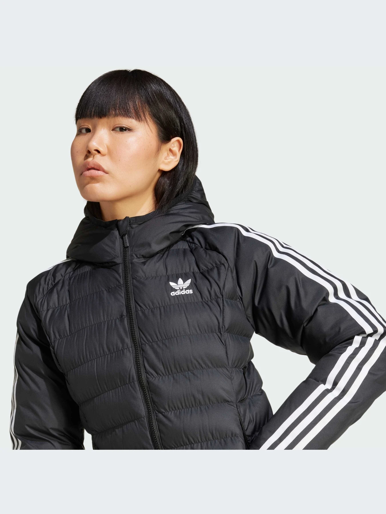 Куртки и дубленки Adidas Adicolor модель IW5849-KZ Куртки и дубленки Adidas Adicolor модель IW5849-KZ Фото