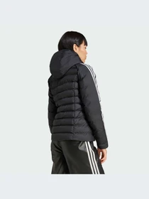 Куртки и дубленки Adidas Adicolor модель IW5849-KZ Фото