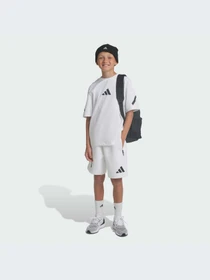 Шорты Adidas ZNE модель JJ4143-KZ Фото