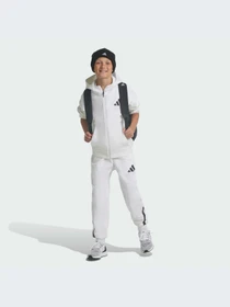 Брюки Adidas ZNE модель JJ4148-KZ Фото