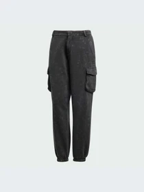 Брюки Adidas модель IW5563-KZ Фото