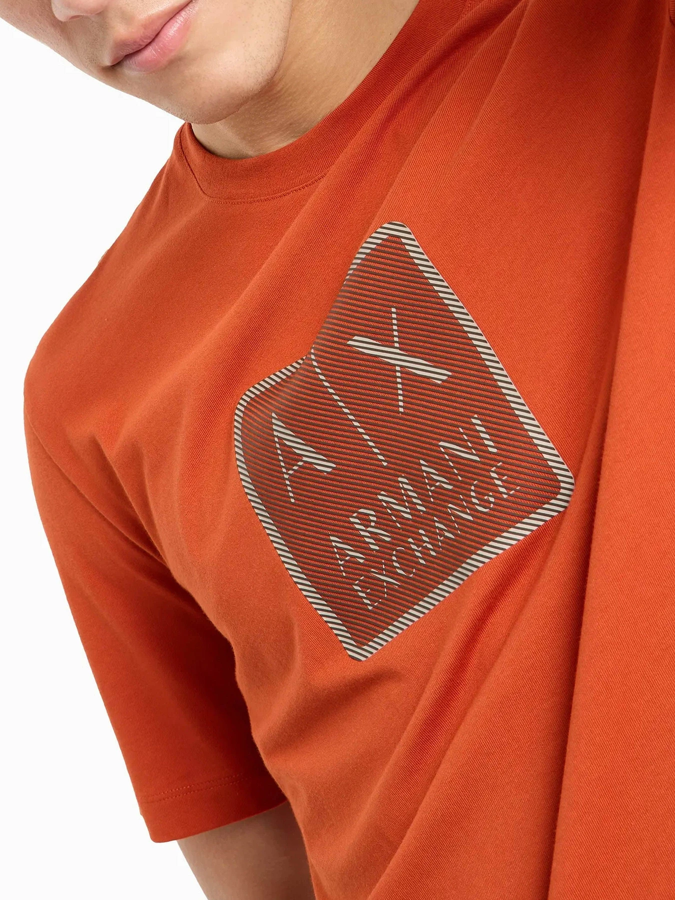 Футболки и поло Armani Exchange модель 6DZTHB-ZJ9JZ-1498 Фото