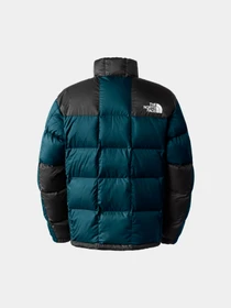 Куртки и дубленки The North Face модель NF0A3Y231NO1 Фото