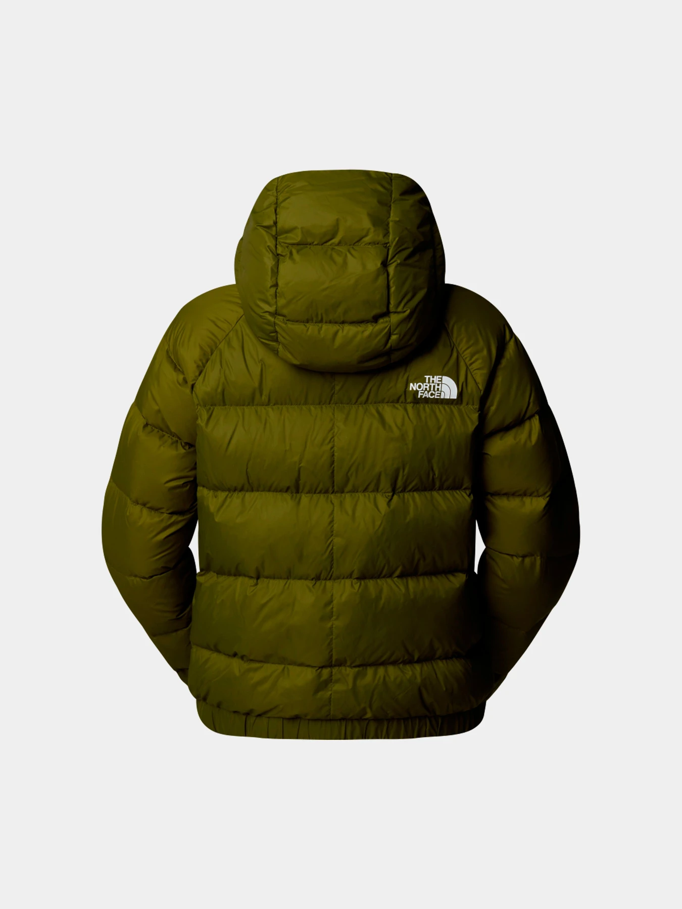 Куртки и дубленки The North Face модель NF0A3Y4RPIB1 Куртки и дубленки The North Face модель NF0A3Y4RPIB1 Фото