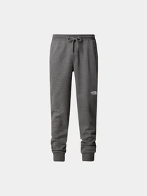 Брюки The North Face модель NF0A4SVQDYY1 Фото