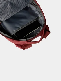 Рюкзаки The North Face модель NF0A52SWRIG1 Фото
