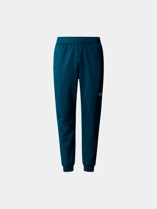 Брюки The North Face модель NF0A7Z9P2LO1 Фото