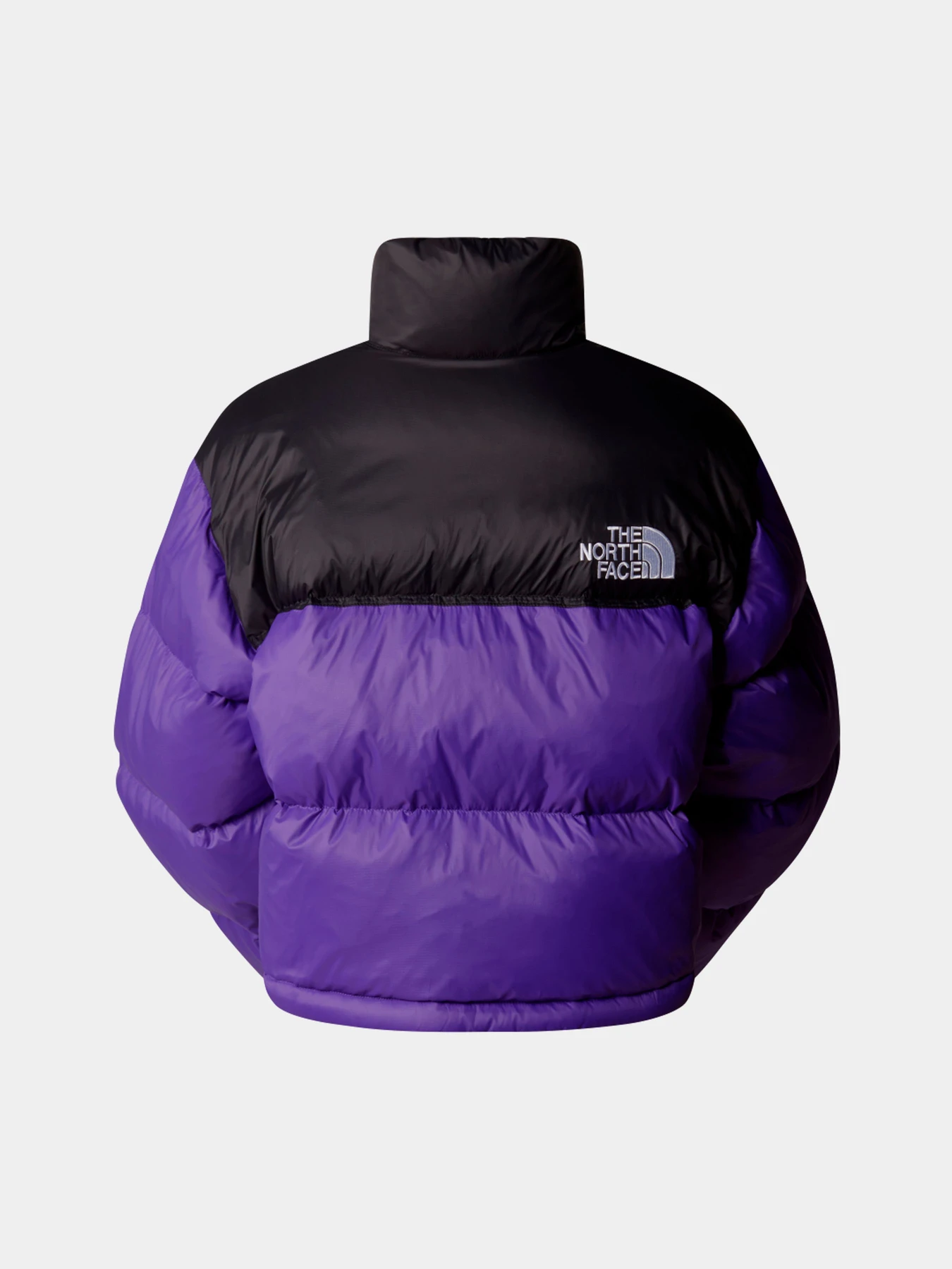 Куртки и дубленки The North Face модель NF0A5GGES961 Куртки и дубленки The North Face модель NF0A5GGES961 Фото