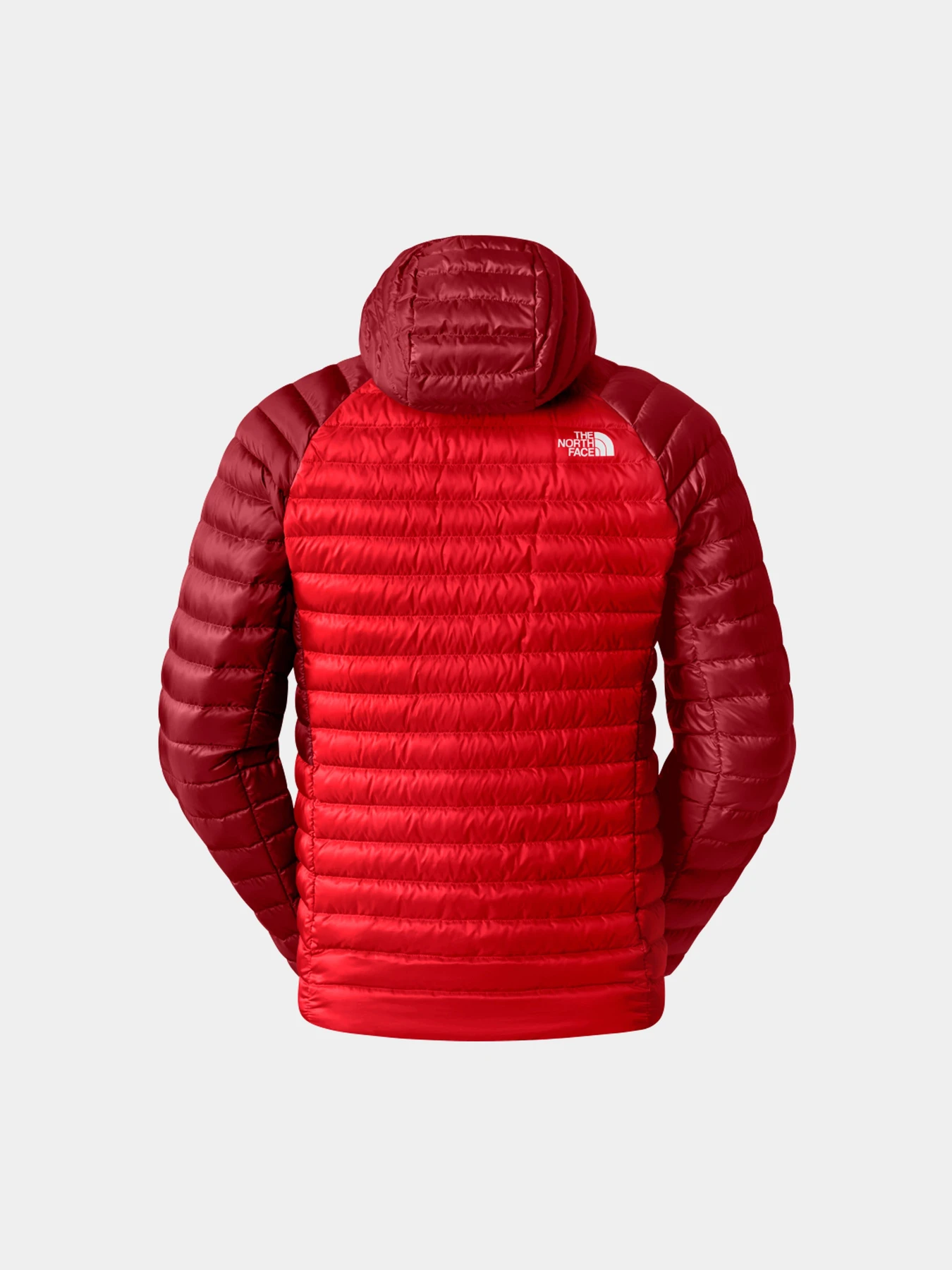 Куртки и дубленки The North Face модель NF0A87GX7IR1 Фото