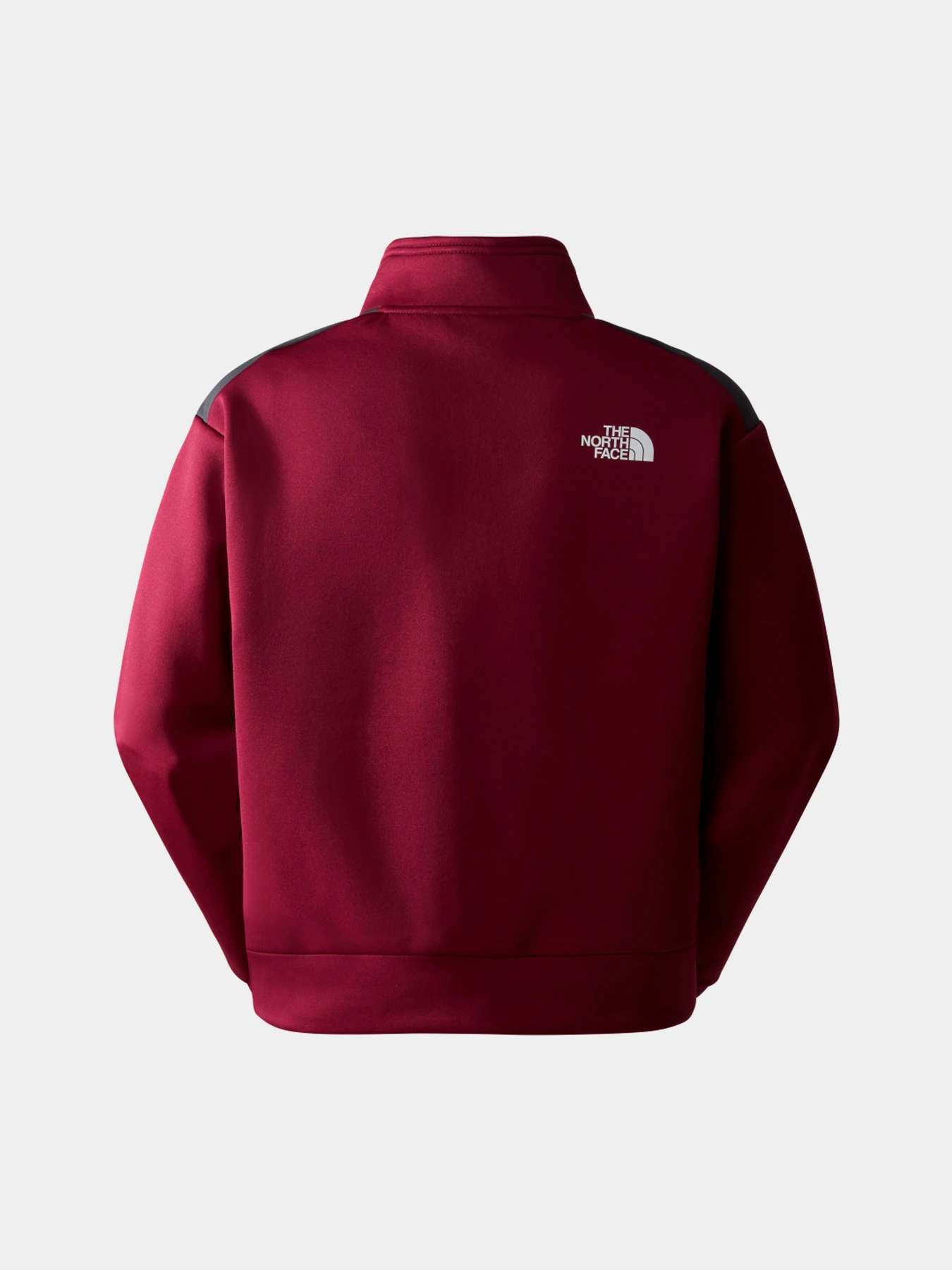 Худи и свитшоты The North Face модель NF0A856M69I1 Худи и свитшоты The North Face модель NF0A856M69I1 Фото