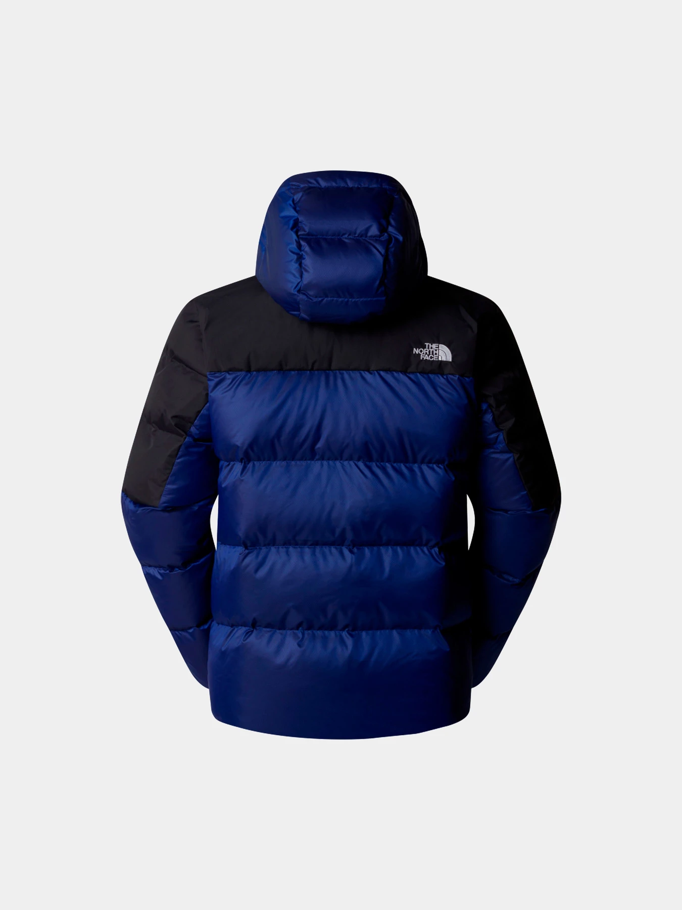 Куртки и дубленки The North Face модель NF0A89920AI1 Фото