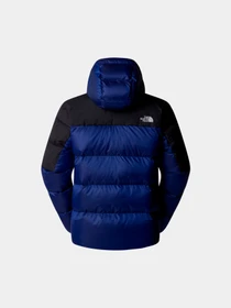 Куртки и дубленки The North Face модель NF0A89920AI1 Фото