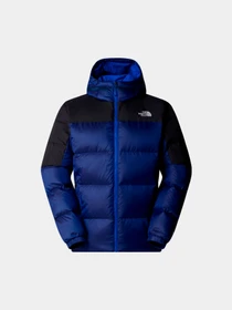 Куртки и дубленки The North Face модель NF0A89920AI1 Фото