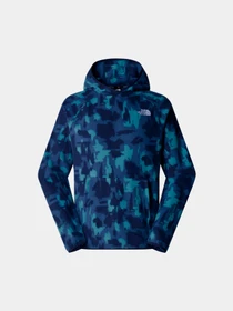 Худи и свитшоты The North Face модель NF0A893J6VI1 Фото