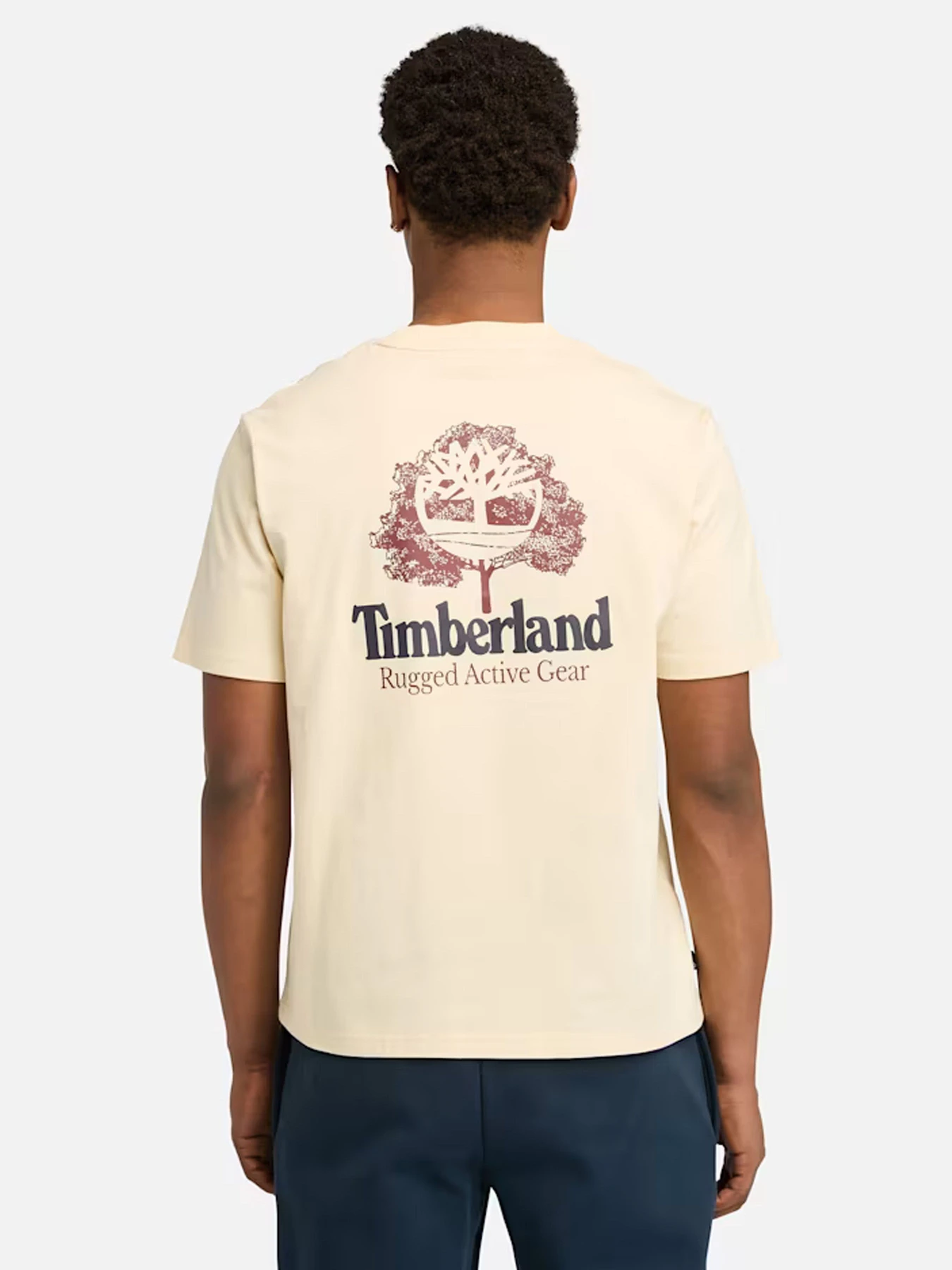 Футболки и поло Timberland модель TB0A63BDEFL Футболки и поло Timberland модель TB0A63BDEFL Фото