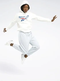 Худи и свитшоты Reebok модель IQ4430 Фото