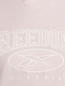 Худи и свитшоты Reebok модель IQ4546 Фото