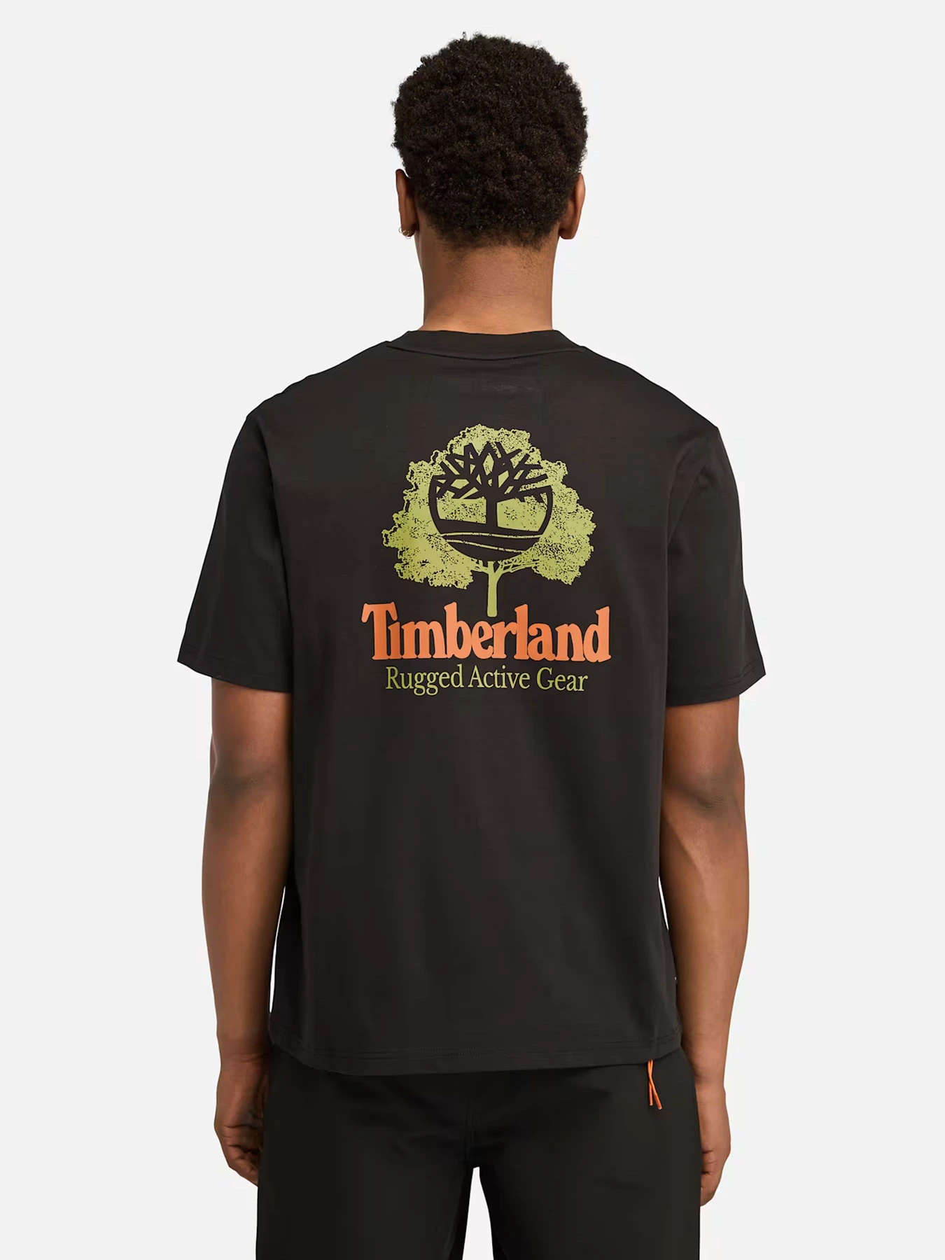 Футболки и поло Timberland модель TB0A63BD001 Футболки и поло Timberland модель TB0A63BD001 Фото